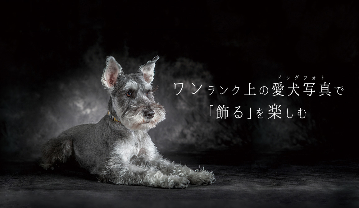 special site 犬専門の肖像写真館　YAKUSHI STUDIO for DOG