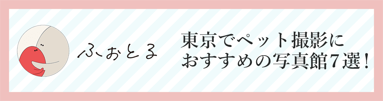 東京でペット撮影におすすめの写真館7選！