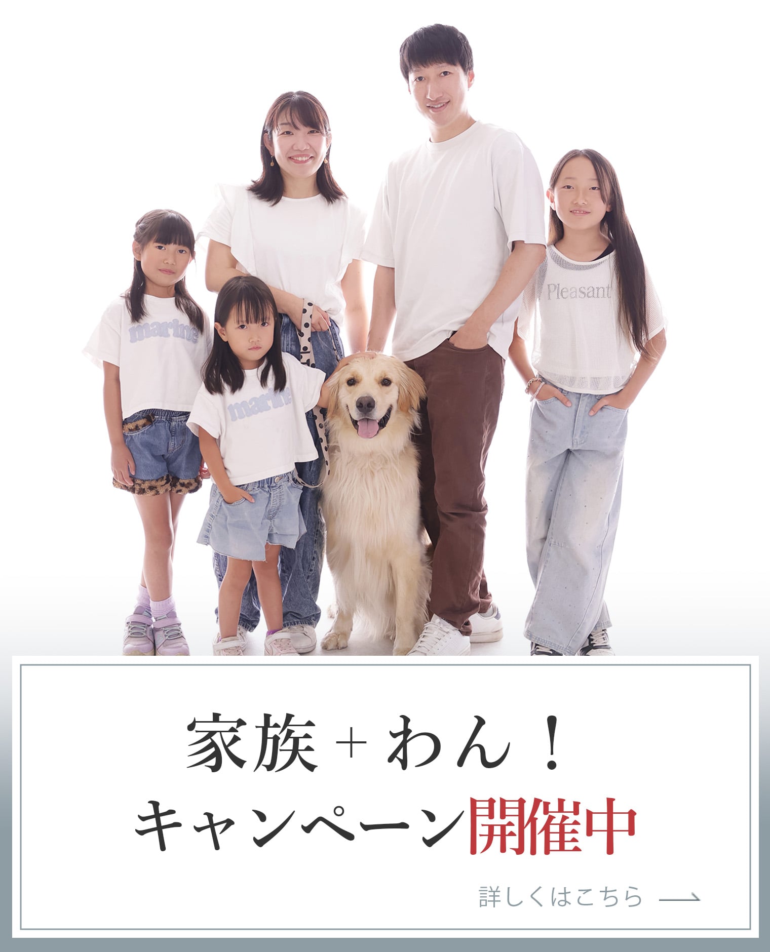 家族＋わん！キャンペーン開催中 参加者募集中！ こちらをクリックするとＰＤＦファイルが開きます。