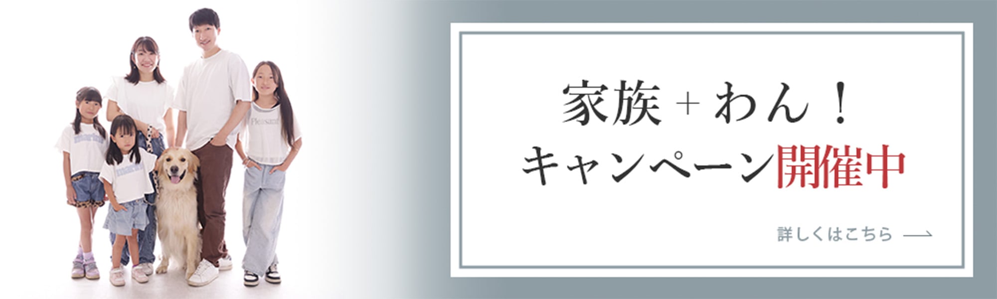 家族＋わん！キャンペーン開催中 こちらをクリックするとＰＤＦファイルが開きます。